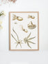 framed wood octopus varieties print wall art